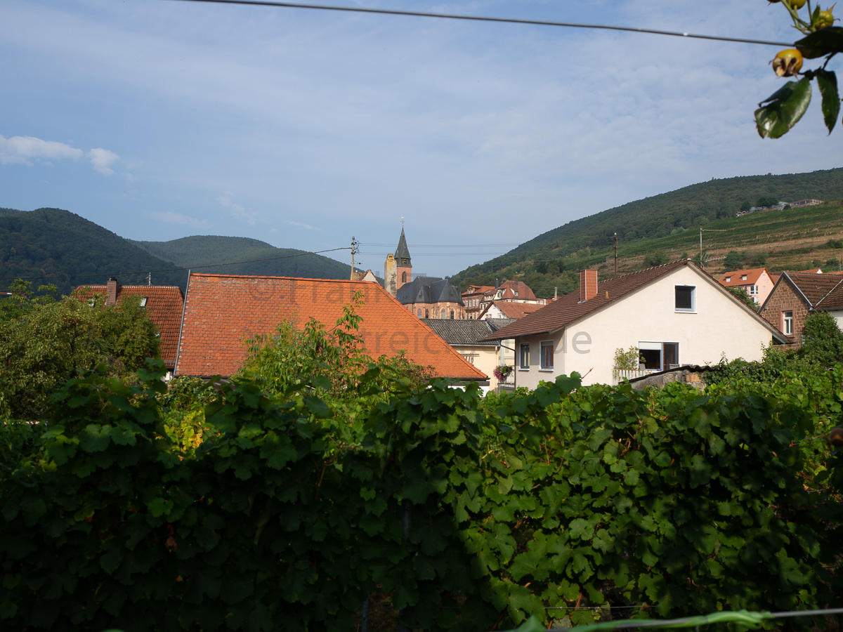 dieses Foto zeigt den Blick vom Stellplatz am Weingut Schreieck